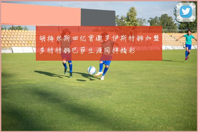 胡梅尔斯回忆曾邀罗伊斯特狮加盟多特特狮巴萨生涯同样精彩